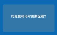 约克夏和马尔济斯区别？