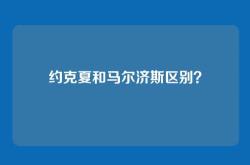 约克夏和马尔济斯区别？