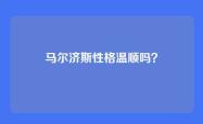 马尔济斯性格温顺吗？