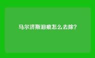 马尔济斯泪痕怎么去除？