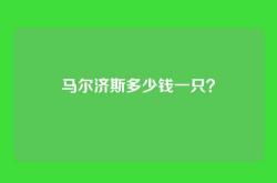 马尔济斯多少钱一只？