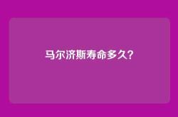 马尔济斯寿命多久？