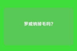 罗威纳掉毛吗？
