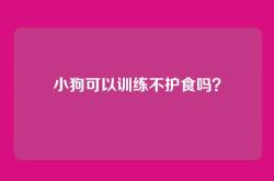 小狗可以训练不护食吗？