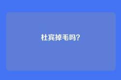 杜宾掉毛吗？