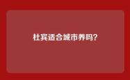 杜宾适合城市养吗？