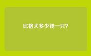 比格犬多少钱一只？