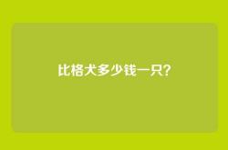 比格犬多少钱一只？