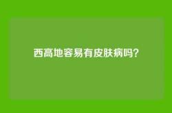 西高地容易有皮肤病吗？