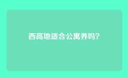 西高地适合公寓养吗？