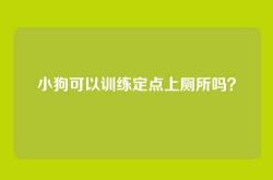 小狗可以训练定点上厕所吗？