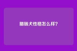 腊肠犬性格怎么样？
