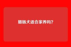 腊肠犬适合家养吗？