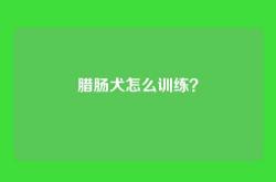 腊肠犬怎么训练？
