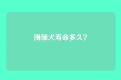 腊肠犬寿命多久？