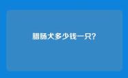 腊肠犬多少钱一只？