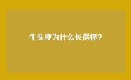 牛头梗为什么长得怪？