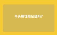 牛头梗性格凶猛吗？