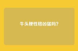 牛头梗性格凶猛吗？