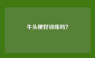 牛头梗好训练吗？