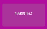 牛头梗吃什么？