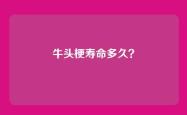 牛头梗寿命多久？