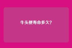 牛头梗寿命多久？