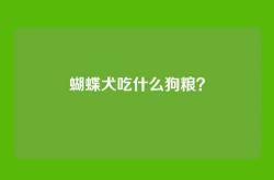 蝴蝶犬吃什么狗粮？
