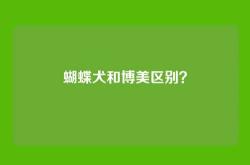 蝴蝶犬和博美区别？