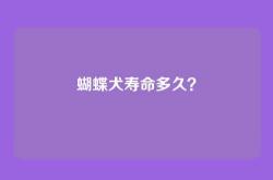 蝴蝶犬寿命多久？
