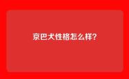京巴犬性格怎么样？