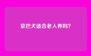 京巴犬适合老人养吗？