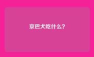 京巴犬吃什么？