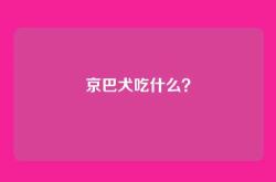 京巴犬吃什么？