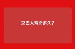 京巴犬寿命多久？