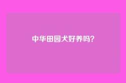 中华田园犬好养吗？