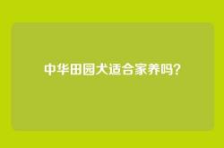 中华田园犬适合家养吗？