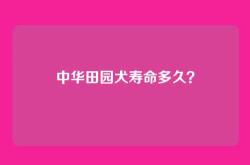 中华田园犬寿命多久？
