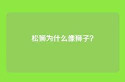 松狮为什么像狮子？