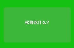 松狮吃什么？