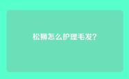 松狮怎么护理毛发？