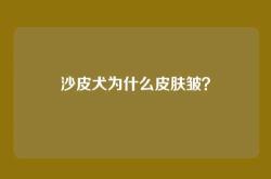 沙皮犬为什么皮肤皱？