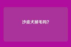 沙皮犬掉毛吗？