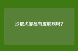 沙皮犬容易有皮肤病吗？
