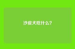 沙皮犬吃什么？