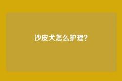 沙皮犬怎么护理？