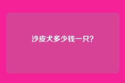 沙皮犬多少钱一只？