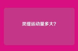 灵缇运动量多大？