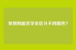宠物狗能否学会区分不同颜色？