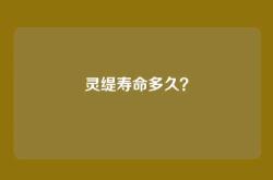 灵缇寿命多久？